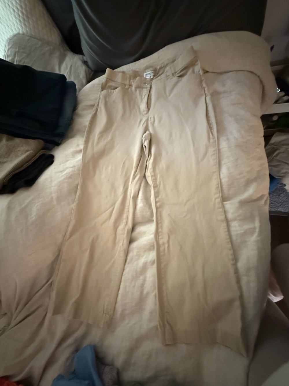 Coldwater Creek Light Beige Casual Pants